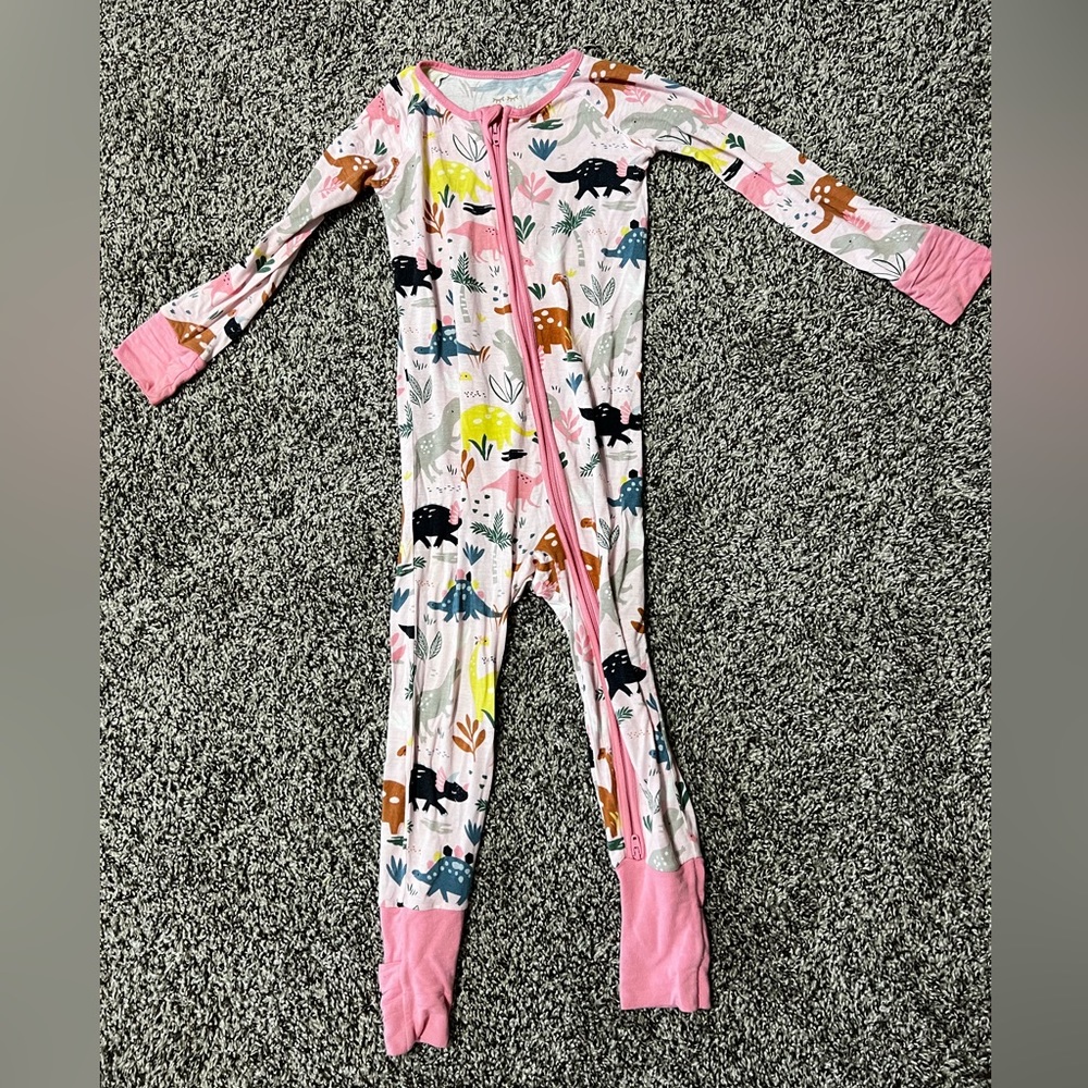 18-24 month little sleepies, dinosaur. Gently used, hung to dry.